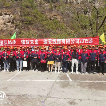 爱游戏最新官方网站登录:四川电线版